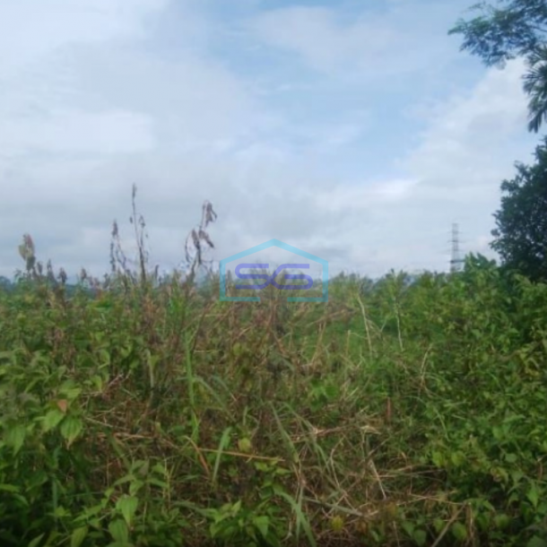 Dijual Tanah di Cibadak Sukabumi Luas Tanah 10 Hektar-1