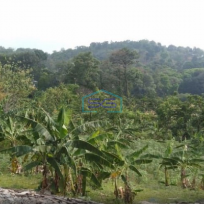 Dijual Tanah Jalan Raya Sumarecon Gn Geulis Sukaraja Bogor LT 14000m2