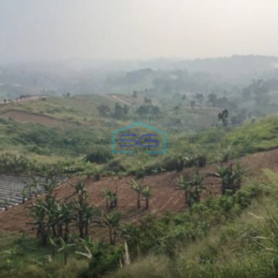 Dijual Tanah Kosong Luas Cicurug Sukabumi Luas Tanah 100000m2
