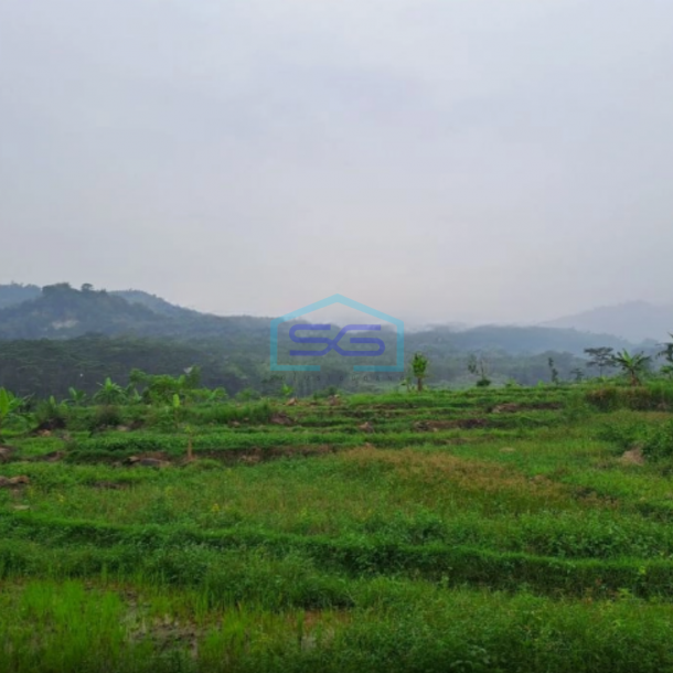 Dijual Tanah Jaya Sukamakmur Jonggol Bogor Luas Tanah 50 Hektar-2