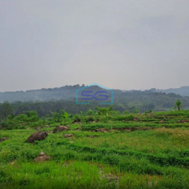 Dijual Tanah Jaya Sukamakmur Jonggol Bogor Luas Tanah 50 Hektar-1