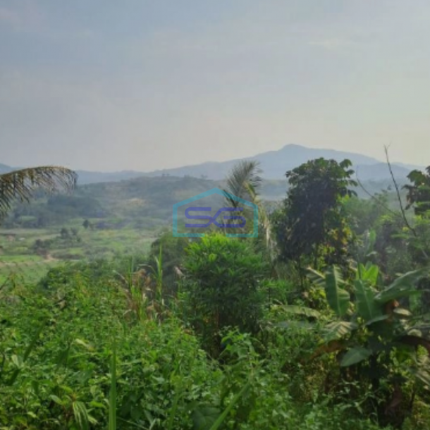 Dijual Tanah Desa Pabuaran Perbatasan Citereup Sukamakmur Bogor LT 10000m2-3