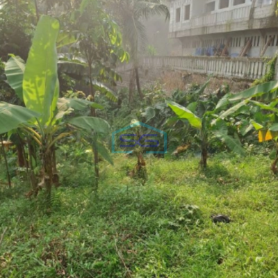 Dijual Tanah Desa Pabuaran Perbatasan Citereup Sukamakmur Bogor LT 10000m2