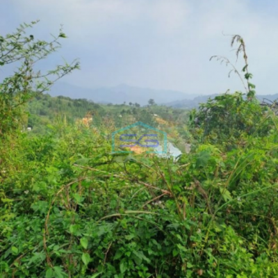 Dijual Tanah Desa Pabuaran Perbatasan Citereup Sukamakmur Bogor LT 10000m2