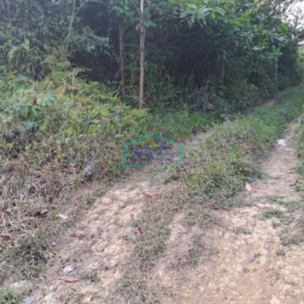 Dijual Tanah Suka Yaya Jonggol Bogor Luas Tanah 170000m2-3