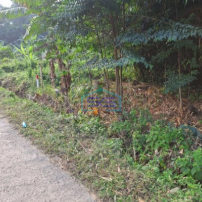 Dijual Tanah Suka Yaya Jonggol Bogor Luas Tanah 170000m2