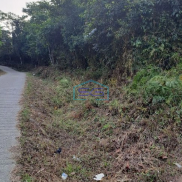 Dijual Tanah Suka Yaya Jonggol Bogor Luas Tanah 170000m2-1