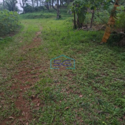 Dijual Tanah Lokasi Strategis Di Leuwiliang Bogor Luas 50000m2 Bebas Banjir