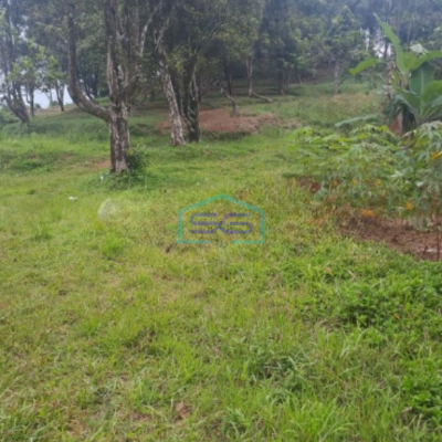 Dijual Tanah Lokasi Strategis Di Leuwiliang Bogor Luas 50000m2 Bebas Banjir