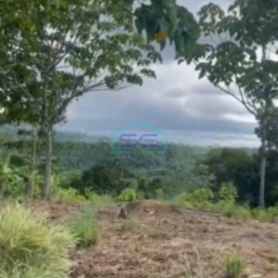 Dijual Tanah Desa Cibadak Sukamakmur Jongol Bogor SHM Luas 3500m2