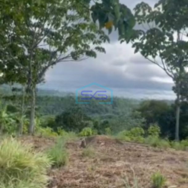 Dijual Tanah Desa Cibadak Sukamakmur Jongol Bogor SHM Luas 3500m2-1