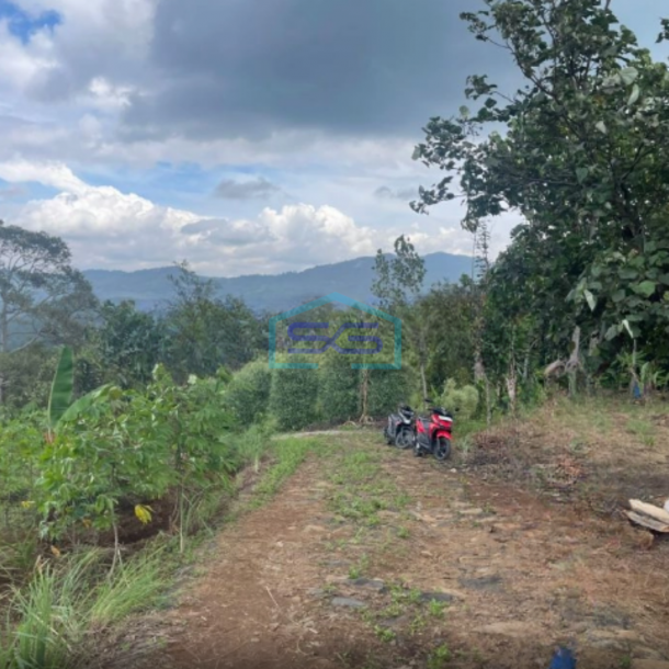 Dijual Tanah Desa Cibadak Sukamakmur Jongol Bogor SHM Luas 3500m2-3