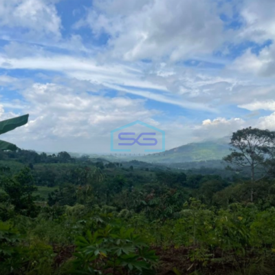 Dijual Tanah Desa Cibadak Sukamakmur Jongol Bogor SHM Luas 3500m2