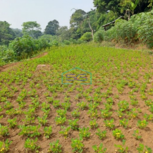 Dijual Tanah di Daerah Cibodas Rumpin Bogor Barat Luas Tanah 40000m2-2