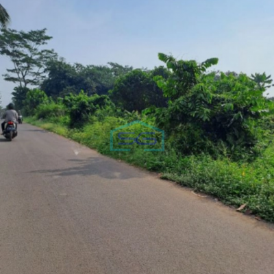 Dijual Tanah Kontur Datar di Jalan Raya Cibodas Rumpin Bogor Luas Tanah 3500m2