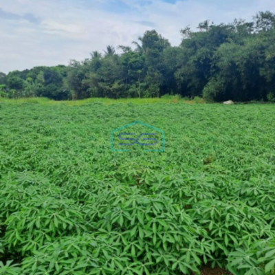 Dijual Tanah Di Area Mekarsari Rumpin Bogor Luas  1000m2