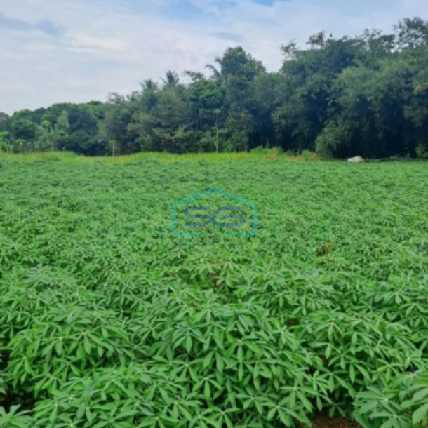 Dijual Tanah Di Area Mekarsari Rumpin Bogor Luas  1000m2-1