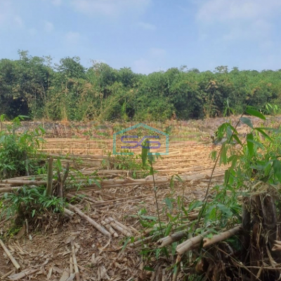 Dijual Tanah di Cibodas Rumpin Bogor Luas Tanah 2450m2