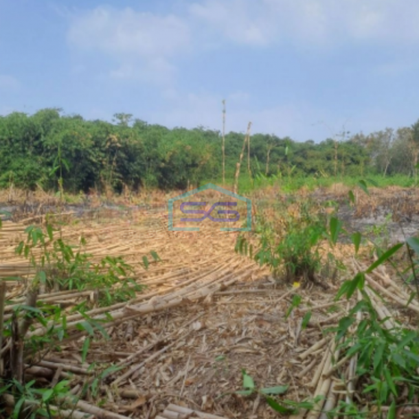 Dijual Tanah di Cibodas Rumpin Bogor Luas Tanah 2450m2-2