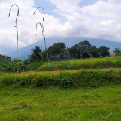 Dijual Tanah Bagus di Jalan Raya Cihdeng Kec Cijeruk Bogor LT 12000m2