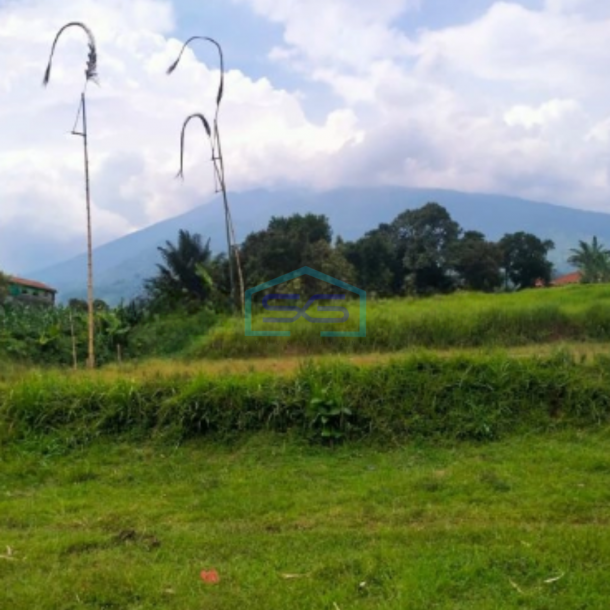 Dijual Tanah Bagus di Jalan Raya Cihdeng Kec Cijeruk Bogor LT 12000m2-2