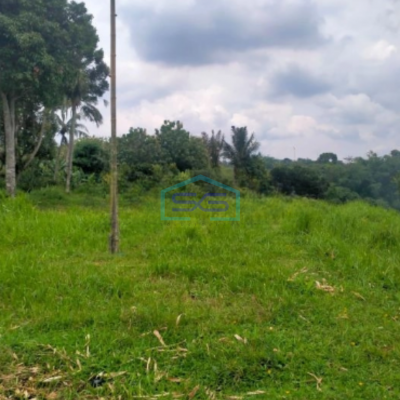 Dijual Tanah Bagus di Jalan Raya Cihdeng Kec Cijeruk Bogor LT 12000m2
