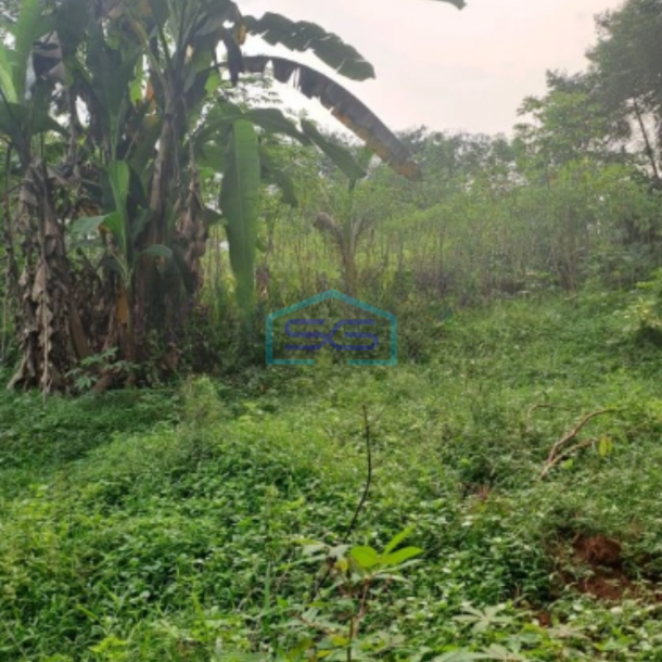 Dijual Tanah Mekar Sari Rumpin Bogor Luas 18000m2 Lokasi Bebas Banjir-1