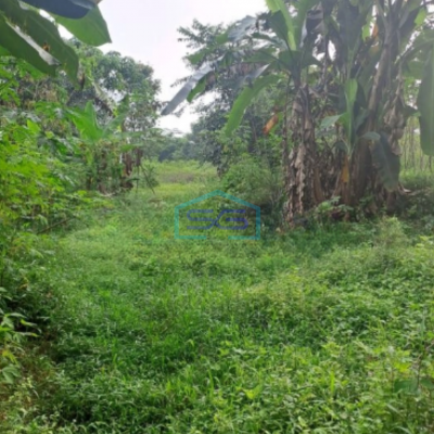 Dijual Tanah Mekar Sari Rumpin Bogor Luas 18000m2 Lokasi Bebas Banjir