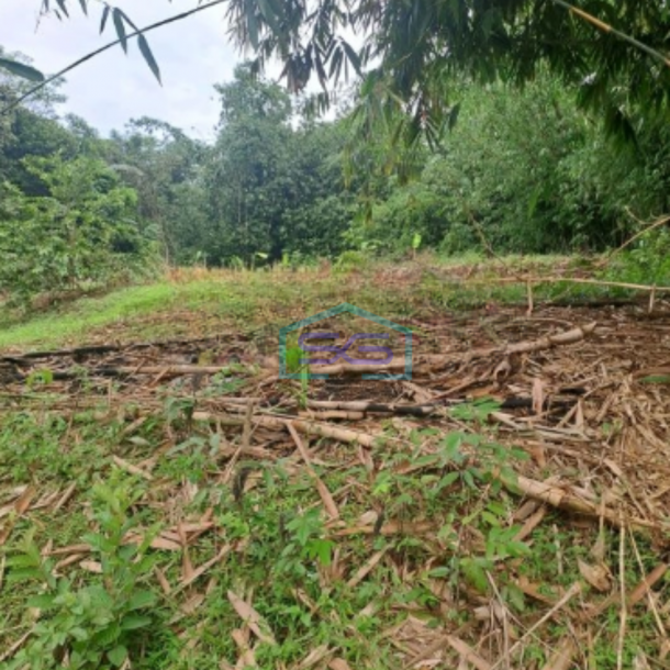 Dijual Tanah Strategis di Daerah Mekarsari Rumpin Bogor Luas Tanah 2800m2-2