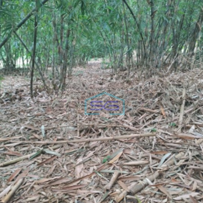 Dijual Tanah Strategis di Daerah Mekarsari Rumpin Bogor Luas Tanah 2800m2