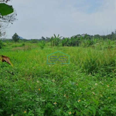 Dijual Tanah di Pinggir Jalan Raya Desa Rabak Rumpin Bogor Luas 44000m2