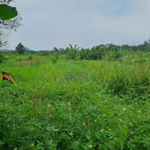 Dijual Tanah di Pinggir Jalan Raya Desa Rabak Rumpin Bogor Luas 44000m2-3