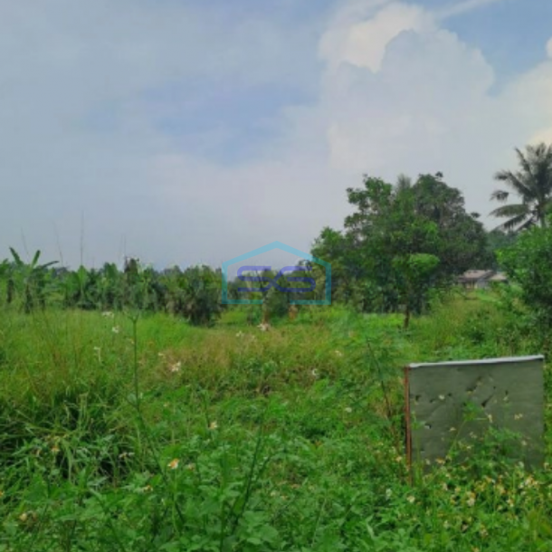 Dijual Tanah di Pinggir Jalan Raya Desa Rabak Rumpin Bogor Luas 44000m2-2