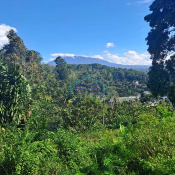 Dijual Tanah Pasir Angin Bogor Akses Mudah dan Jalan Lebar Dekat Pintu Tol Summarecon LT 14000m2-2