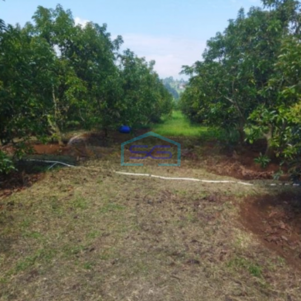 Dijual Tanah Strategis di Daerah Klapanunggal Bogor Luas Tanah 120000m2-3