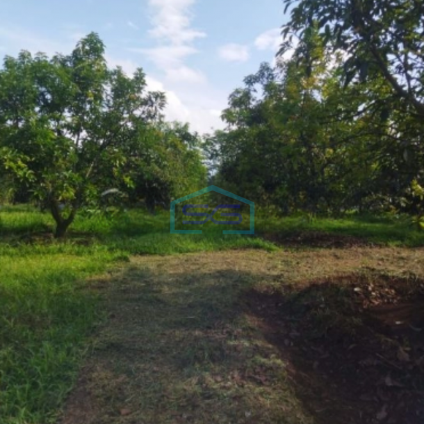 Dijual Tanah Strategis di Daerah Klapanunggal Bogor Luas Tanah 120000m2-2