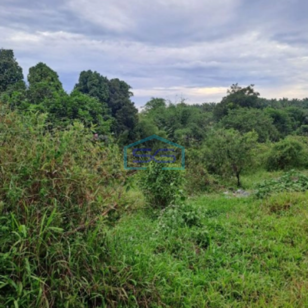 Dijual Tanah Di Gunung Sindur Bogor Luas Tanah 8000m2-3