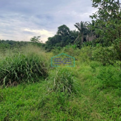 Dijual Tanah Di Gunung Sindur Bogor Luas Tanah 8000m2
