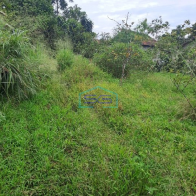 Dijual Tanah Di Gunung Sindur Bogor Luas Tanah 8000m2