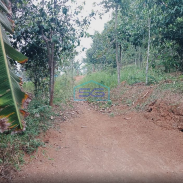 Dijual Tanah Bagus Dipinggir Jalan Desa Leuwiliang Bogor Barat Jawa Barat LT 120000m2-3