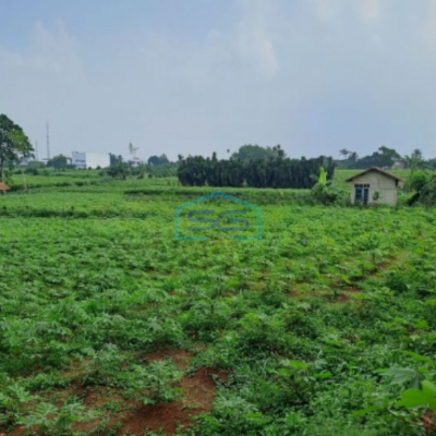 Dijual Tanah Ranca Bungur Bogor Jawa Barat Luas 50000m2
