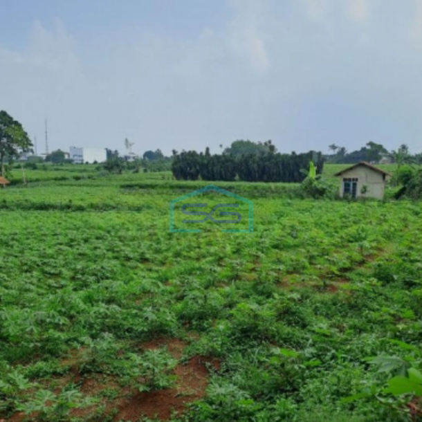 Dijual Tanah Ranca Bungur Bogor Jawa Barat Luas 50000m2-4