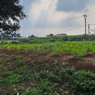 Dijual Tanah Ranca Bungur Bogor Jawa Barat Luas 50000m2