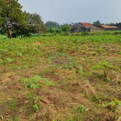 Dijual Tanah Ranca Bungur Bogor Jawa Barat Luas 50000m2