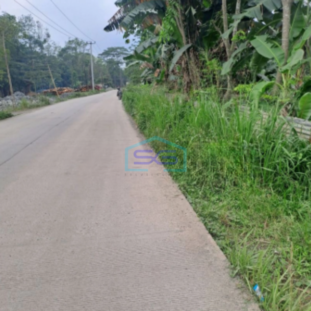 Dijual Tanah Di Cipinang Rumpin Bogor Jawa Barat Luas 15000m2-3