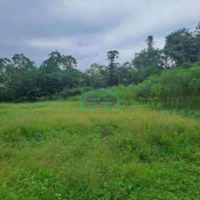 Dijual Tanah Di Cipinang Rumpin Bogor Jawa Barat Luas 15000m2