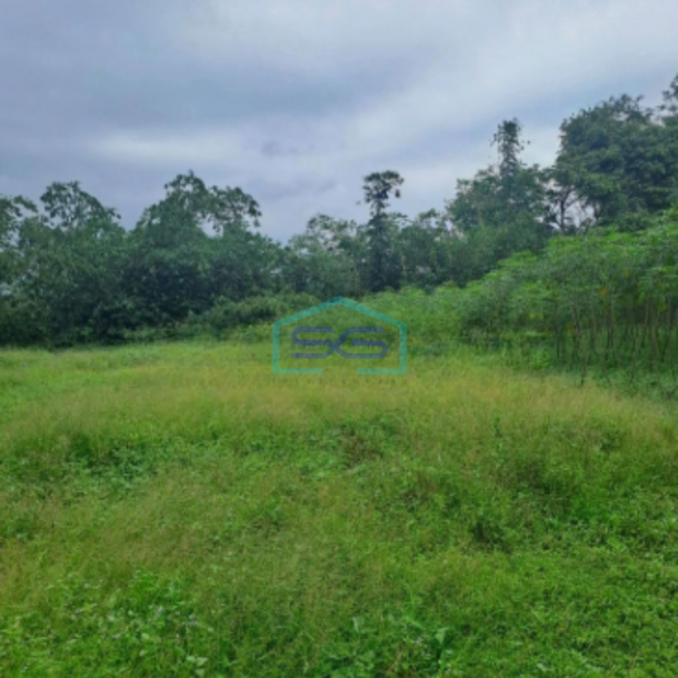 Dijual Tanah Di Cipinang Rumpin Bogor Jawa Barat Luas 15000m2-2