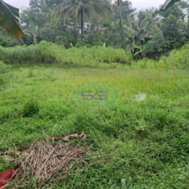 Dijual Tanah Di Cipinang Rumpin Bogor Jawa Barat Luas 15000m2-4