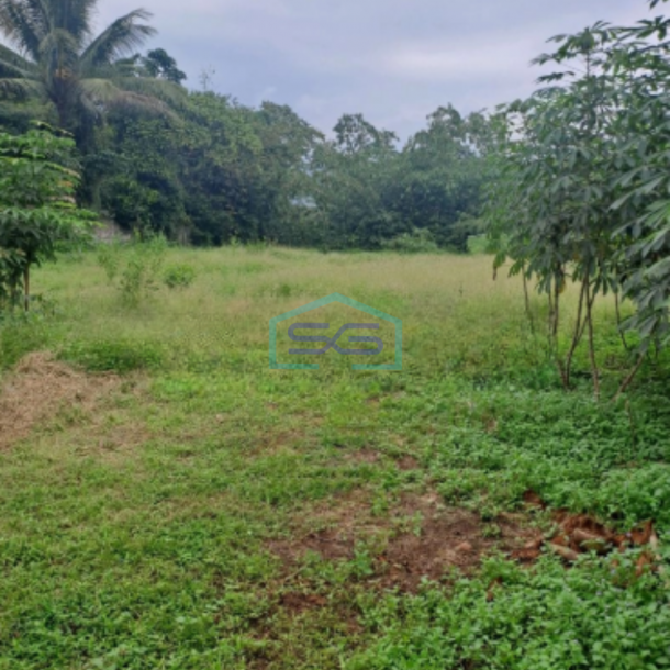 Dijual Tanah Di Cipinang Rumpin Bogor Jawa Barat Luas 15000m2-1