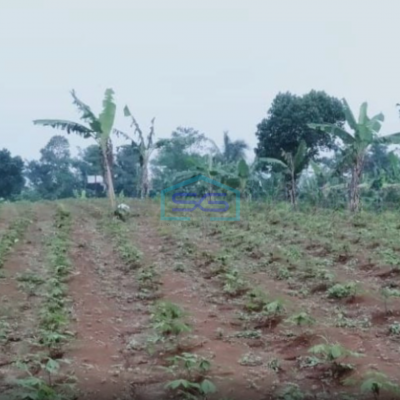 Dijual Tanah Desa Mangunjaya Ciambar Sukabumi Luas Tanah 300000m2